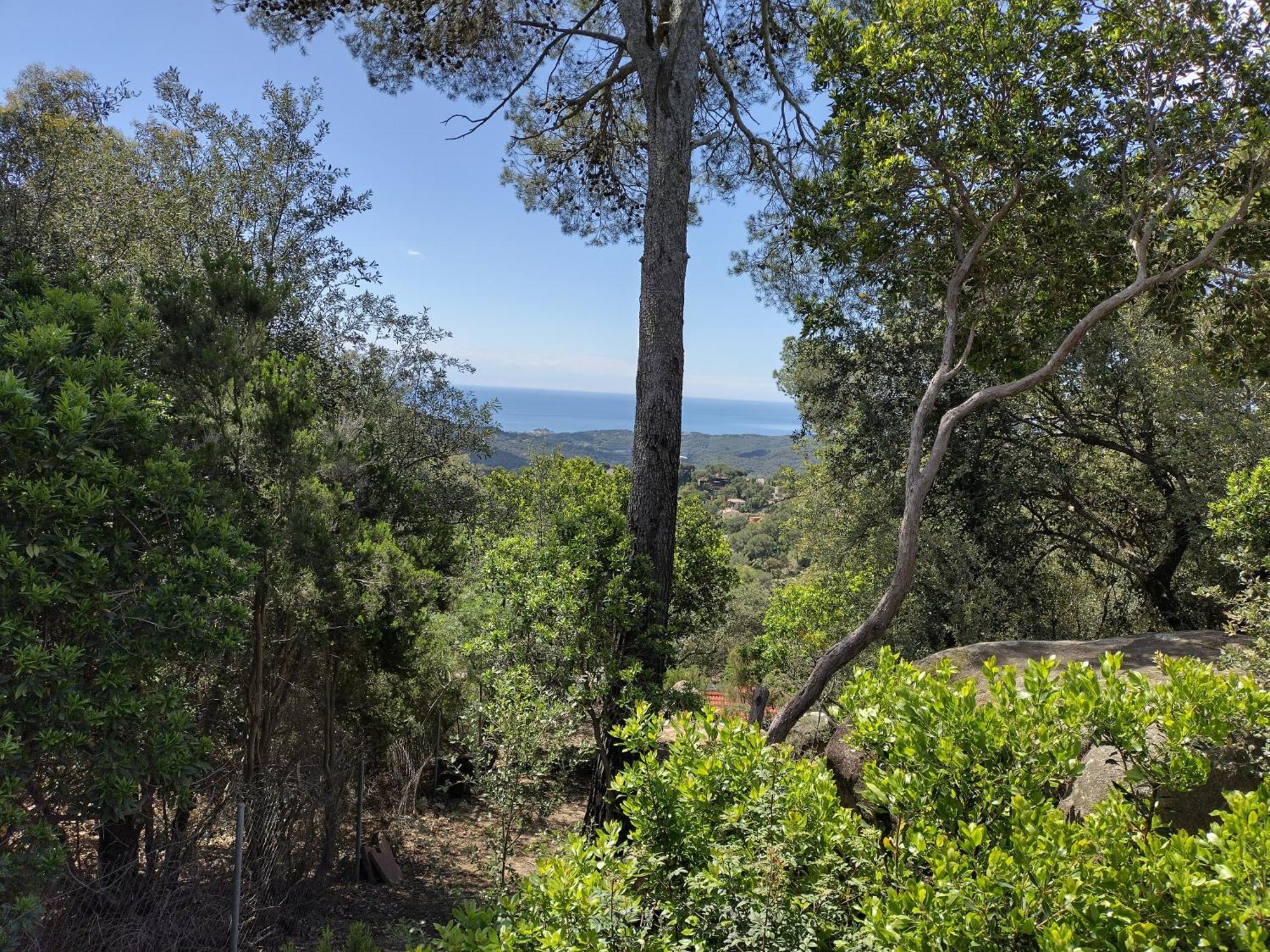 Sant Cebrià de Vallalta Casa Felizヴィラ エクステリア 写真