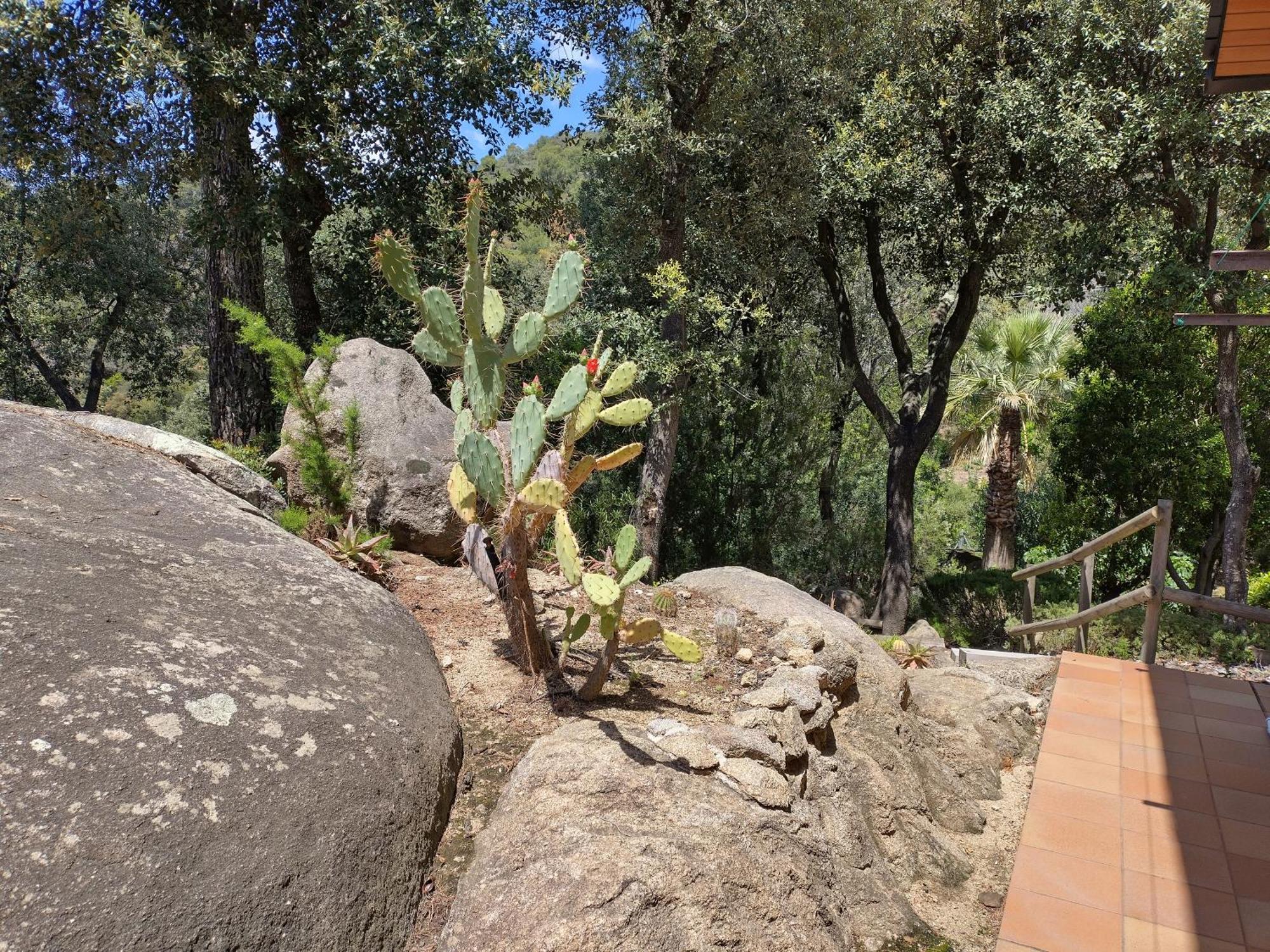 Sant Cebrià de Vallalta Casa Felizヴィラ エクステリア 写真