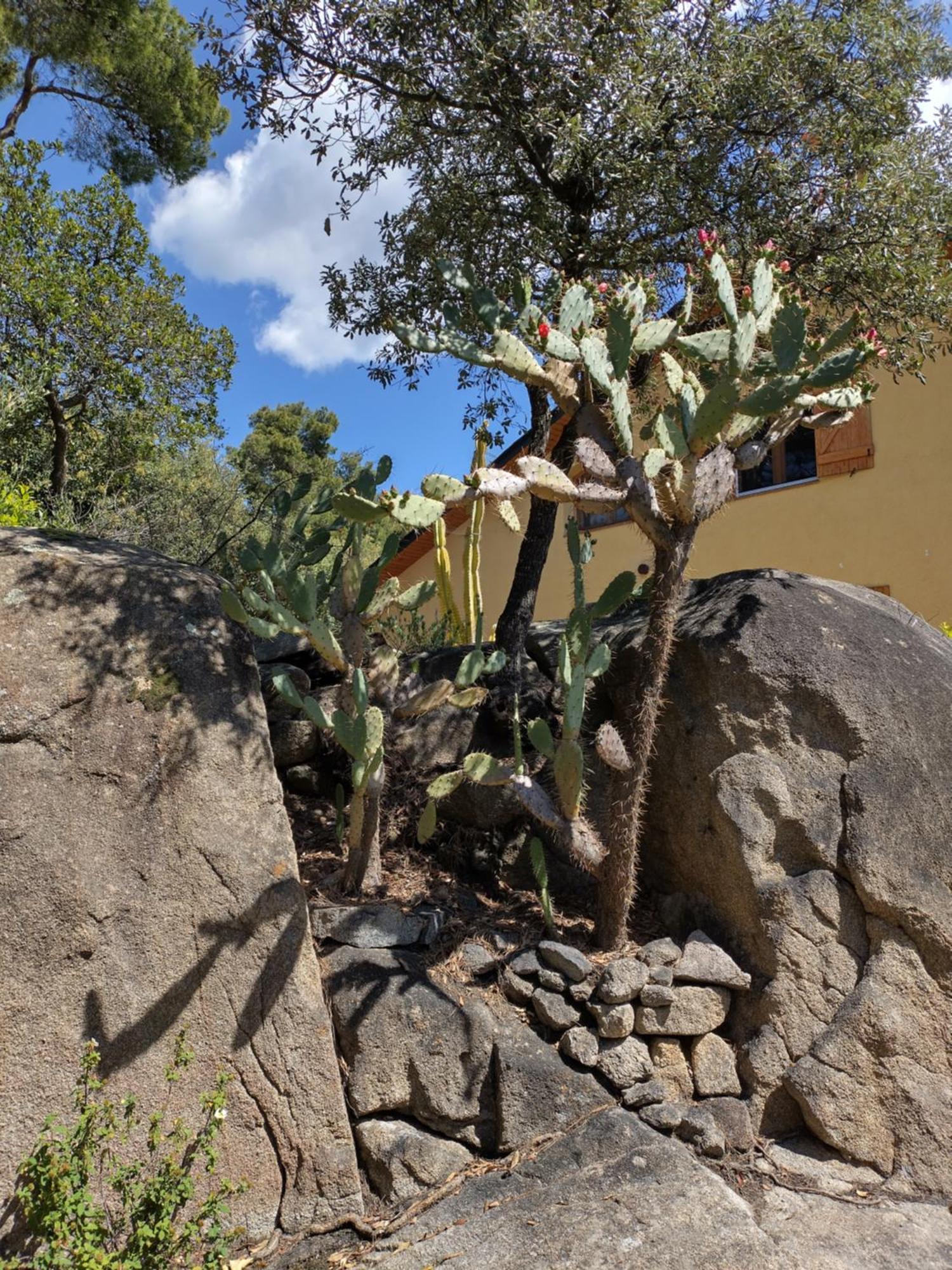 Sant Cebrià de Vallalta Casa Felizヴィラ エクステリア 写真