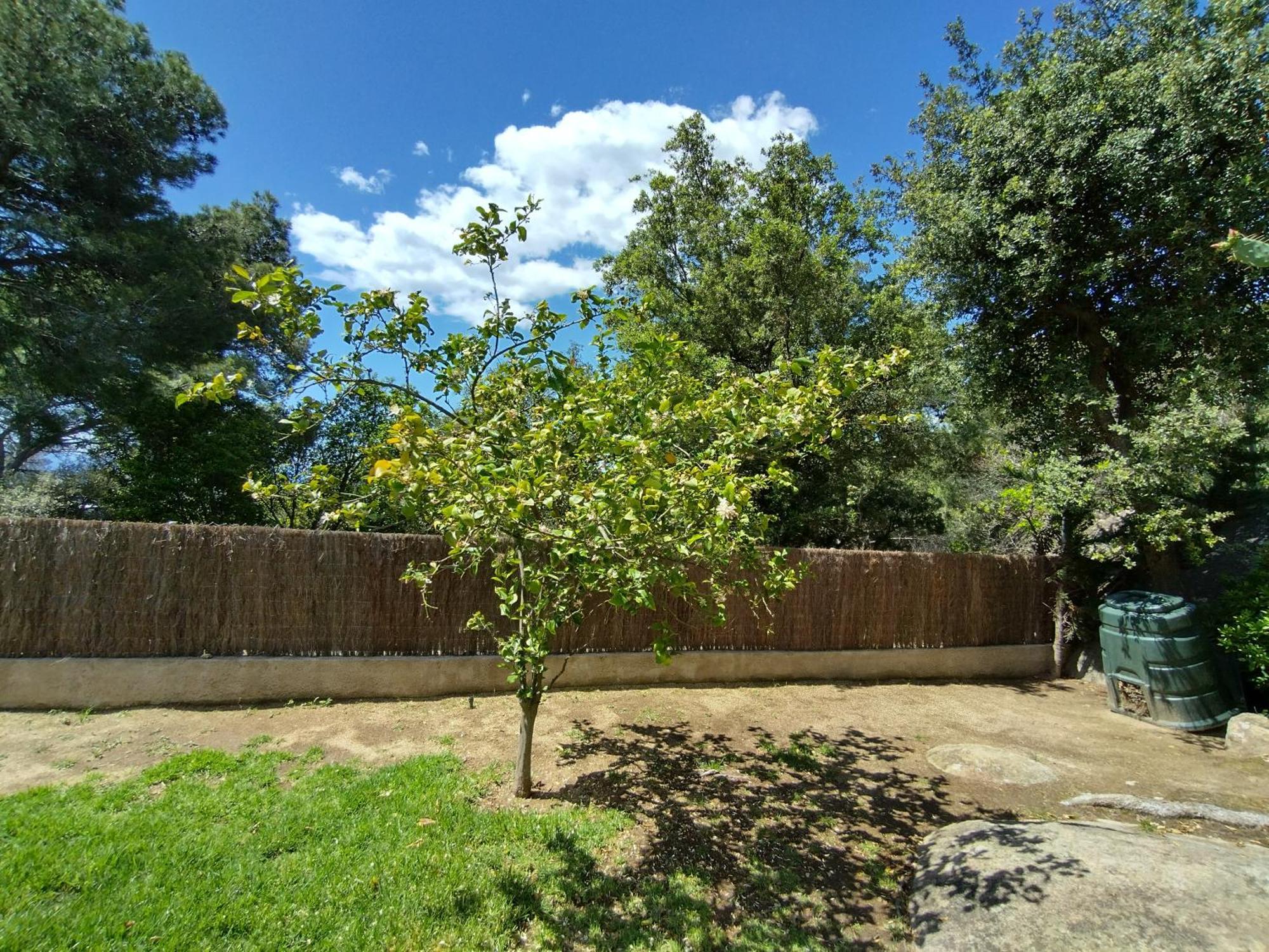 Sant Cebrià de Vallalta Casa Felizヴィラ エクステリア 写真