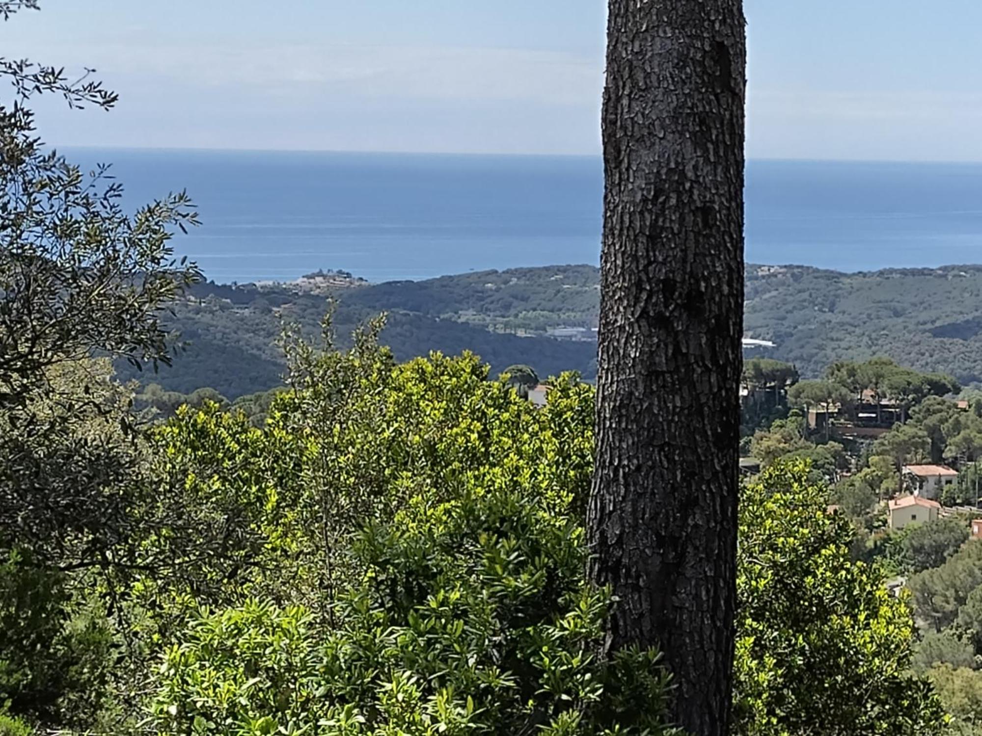 Sant Cebrià de Vallalta Casa Felizヴィラ エクステリア 写真